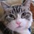 Thomas Spradlin's profile image