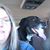 Jeannie Trudell's profile image