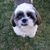 Gary Morford's profile image
