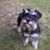 Karen Leist Tarr's profile image
