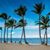 Denise Schissel Todd's profile image