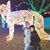 Rachael Green Betts's profile image