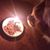 Tim Wasmer's profile image