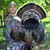Blake Reiminger's profile image