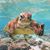 Travis Collett's profile image