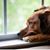 Debbie Geilert Roberts's profile image