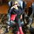 Lisa Bundy-Robinson's profile image