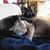 Paige Bober's profile image