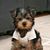 Stacey Washington-Garrison's profile image
