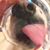 Dana Bracken Higgs's profile image