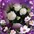 Alba Goodlow's profile image