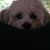Donna Godard's profile image