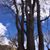 Helen Sarver's profile image