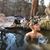 Nicole Jasmine's profile image