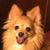 Sandy Dewitt Glaus's profile image