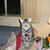John Tom Atchison's profile image