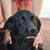 Darlene Stecher-Hankins's profile image