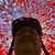 Steven Burns's profile image