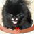 Nancy Mendoza's profile image