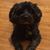 Diane Marla's profile image