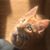 Steven Eggert's profile image