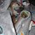 Sandra Johnson Trent's profile image