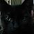 Kym Hoopes's profile image