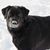 Pat Green's profile image