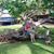Gretchen Schave Areosa's profile image