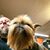 Miguel Casa's profile image