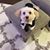 Sally Beynon's profile image