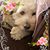 Joely Antoci's profile image