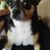 Ethel Riccardo's profile image