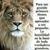 Jose Luis Sanchez's profile image