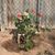 Dorese Anzures's profile image