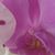 Terri Erlinger Dossett's profile image