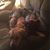 Stephanie Bendel Smith's profile image
