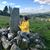 Shannon Patrick-Beatty's profile image