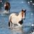 Sue Johnstonbaugh's profile image