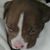Maria Molina-Recalt's profile image