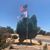 Robert McKenzie's profile image