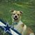 Vivian Trice's profile image