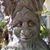 Dennis OConnor's profile image