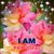 Wendy Murray's profile image