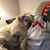 Myrna Halladay's profile image