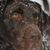 Heather Ehman Leonhard's profile image
