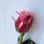 Mary K Jones-Berry's profile image