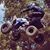 Johnathan Overstreet's profile image
