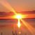 Kelly Frontuto's profile image