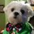 Pam Mallory's profile image